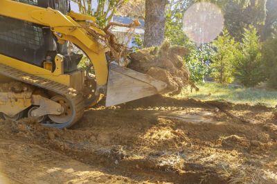 Site Excavation for Landscaping