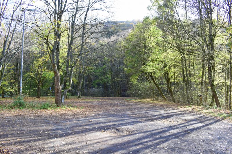 Local Construction Firms